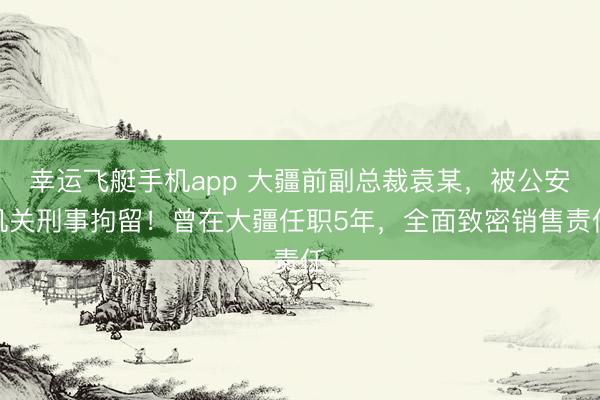 幸运飞艇手机app 大疆前副总裁袁某，被公安机关刑事拘留！曾在大疆任职5年，全面致密销售责任